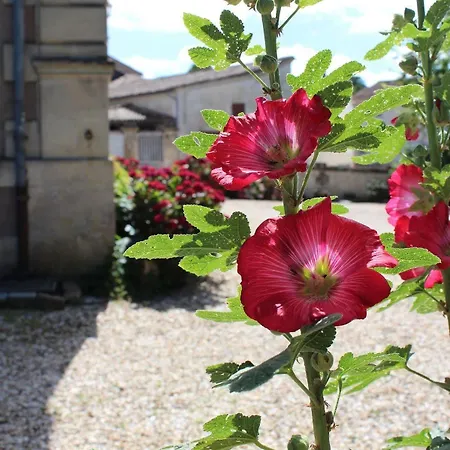 Du Jardin